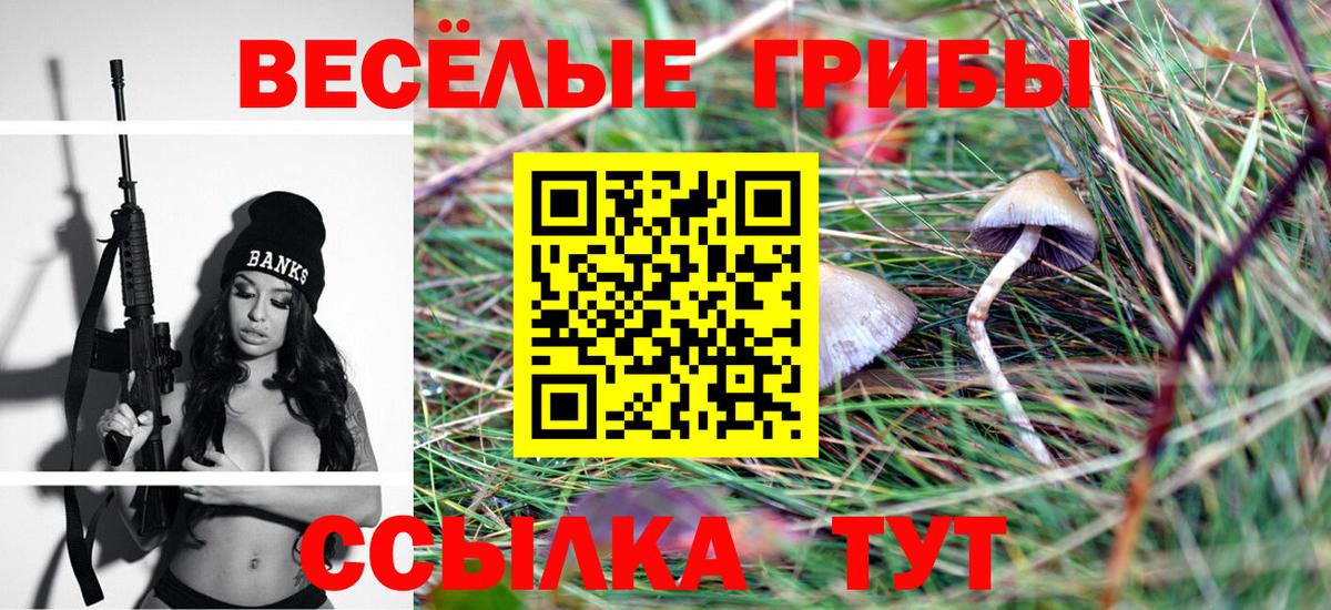 Алейск  Псилоцибиновые грибы мицелий  Вход с VPN 