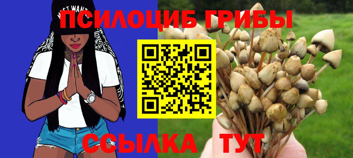 Галлюциногенные грибы Magic Shrooms Алейск